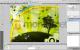 Adobe Fireworks CS6 Win Polish Ret (65157719) 7