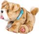 Cobi Little Live Pets Rollie (28669) 3