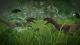 Jurassic World: Evolution PS4 2