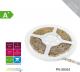Taśma LED Whitenergy SMD3528 5m 60szt./m 4.8W/m 12V  (8363) 2