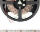 Taśma LED Whitenergy SMD3528 5m 60szt./m 4.8W/m 12V  (8363) 5