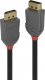 Kabel Lindy DisplayPort - DisplayPort 5m szary (36484) 1