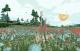 Shelter Complete Edition PC, wersja cyfrowa 18