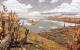 Shelter Complete Edition PC, wersja cyfrowa 20