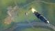 Cities: Skylines Complete Edition PC, wersja cyfrowa 3