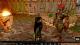 Neverwinter Nights: Enhanced Edition PC, wersja cyfrowa 14