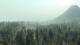 Life is Feudal: Your Own PC, wersja cyfrowa 9