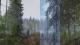 Life is Feudal: Your Own PC, wersja cyfrowa 4