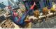 Niesamowity Spider-Man Xbox 360 14