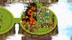 Circle Empires PC, wersja cyfrowa 3