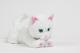 Tm Toys Kot interaktywny Coco 2