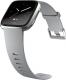 Smartwatch Fitbit Versa Szary Srebrny  (FB505SRGY-EU) 3