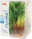 Zolux Dekoracja roślinna PlantKit Wiha model 2 (352141) 1