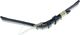 Morellato Skórzany pasek do zegarka 18 mm Morellato A01X4219A97062CR18 3