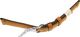 Morellato Skórzany pasek do zegarka 18 mm Morellato A01X4540A61044CR18 3