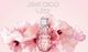 Jimmy Choo L'Eau EDT 60 ml 2