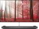 Telewizor LG OLED65W8PLA OLED 65'' 4K (Ultra HD) webOS 4.0 1