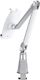Uchwyt Neomounts TABLET ACC DESK STAND/TABLET-D100SILVER NEWSTAR 1