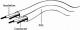 Kabel Gembird Jack 3.5mm - Jack 3.5mm x2 5m czarny (CCA-415) 3