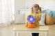 Vtech Globus Podróżnika 2