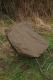 Fox Waterproof Chair Cover XL (CBC064) 4