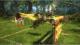 Kinect Sports + Kinectimals (Now With Bears) Xbox 360 10