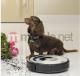 Robot sprzątający iRobot ROOMBA 564 2