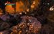 Overlord + Raising Hell DLC PC, wersja cyfrowa 2