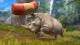 Zoo Tycoon: Ultimate Animal Collection PC, wersja cyfrowa 3