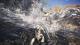 Monster Hunter: World Digital Deluxe Edition PC, wersja cyfrowa 4
