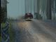 Colin McRae Rally PC, wersja cyfrowa 2