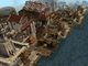 CivCity: Rome PC, wersja cyfrowa 3