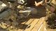 Sniper Elite III EU PC, wersja cyfrowa 5