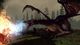 Dragon Age: Origins Origin CD Key 5