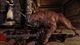 Dragon Age: Origins Origin CD Key 6