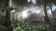 Battlefield 4 + China Rising DLC Origin CD Key 5