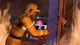 The Sims 3 - Ambitions Expansion Pack 2