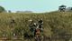 Life is Feudal: Your Own PC, wersja cyfrowa 1
