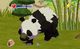 World of Zoo PC, wersja cyfrowa 4