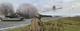 Arma X: Anniversary Edition PC, wersja cyfrowa 1
