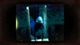 DreadOut PC, wersja cyfrowa 5