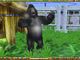 Zoo Empire PC, wersja cyfrowa 4