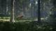 theHunter: Call of the Wild 11