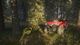 theHunter: Call of the Wild 2