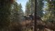theHunter: Call of the Wild 4
