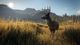 theHunter: Call of the Wild 5