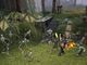 Dungeon Siege PC, wersja cyfrowa 3