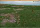 Dominions 4: Thrones of Ascension PC, wersja cyfrowa 7