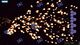 Stellar Interface PC, wersja cyfrowa 4