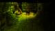 Dungeons Gold Edition PC, wersja cyfrowa 5